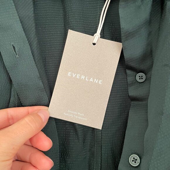 NWT Everlane The Hammered Satin Shirt Dress - Picture 7 of 8